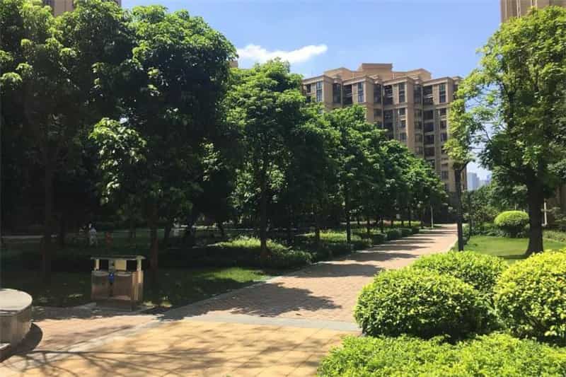 石家庄私人助孕妈妈招聘